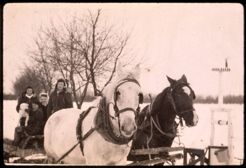 File:Children in horse-drawn wagon on their way to Sunday School, Charleswood, Winnipeg, Manitoba, 1943.jpg