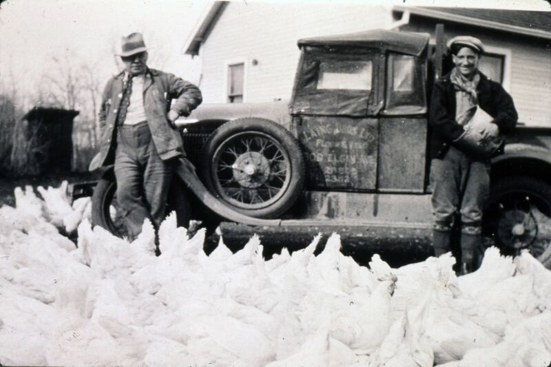 File:Frank Binnie standing beside Laing Brothers Feed Ltd truck at Van Roon poultry farm, Charleswood, Winnipeg, Manitoba, 1935.jpg