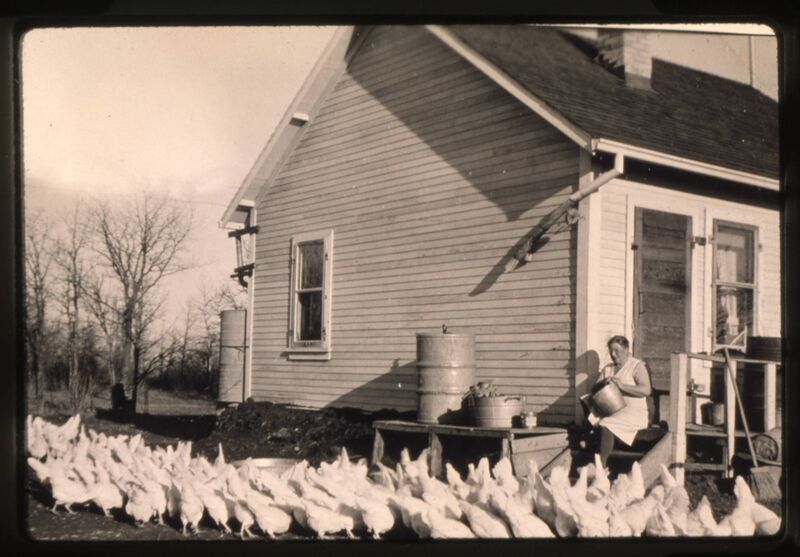 File:Woman on steps of house at Van Roon poultry farm, Charleswood, Winnipeg, Manitoba, 1935.jpg