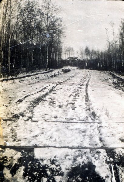 File:Roblin Boulevard showing street car track, Charleswood, Winnipeg, Manitoba, 1916.jpg