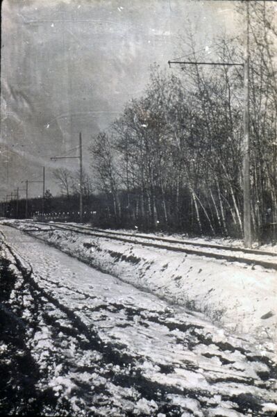 File:Princeton Boulevard looking north, Charleswood, Winnipeg, Manitoba, 1916.jpg