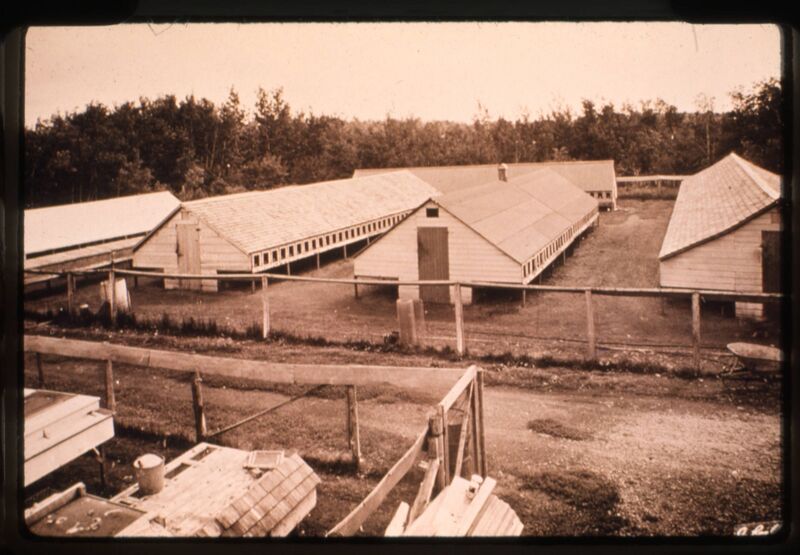 File:Buildings at Ronnander's Mink Farm, Charleswood, Winnipeg, Manitoba, 1940.jpg